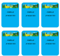 Les cartes "Famille d'Insectes"